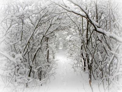 Прикрепленное изображение: 2070809.jpg